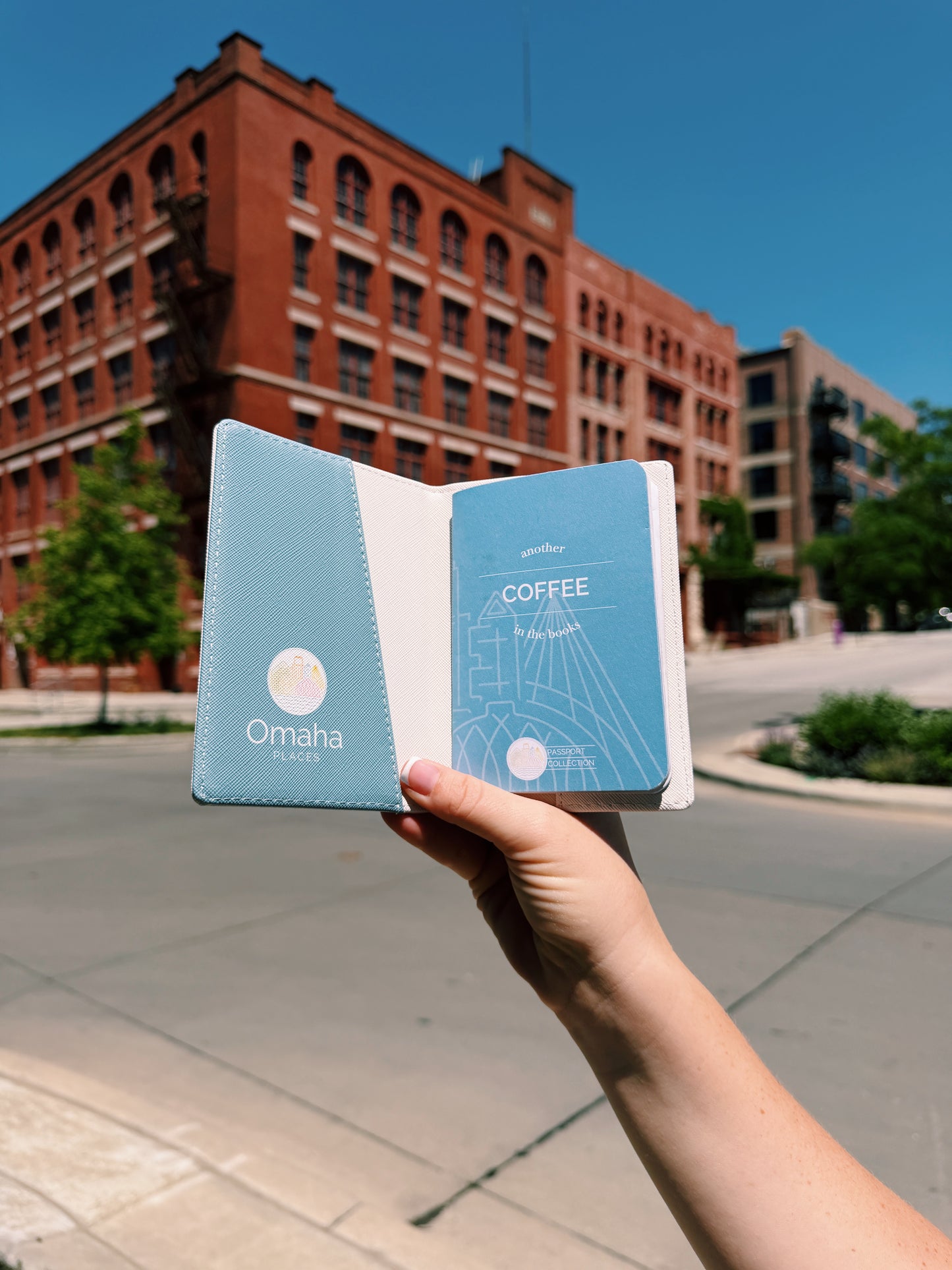 Bon Voyage Passport Case